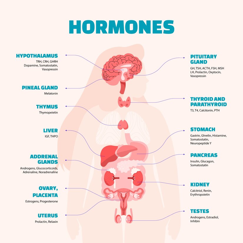 The Role of Hormones in Mental Health